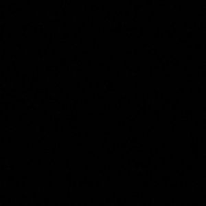 Meet your Posher, Malik